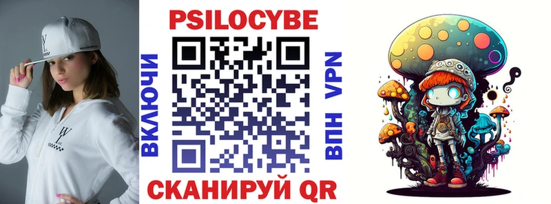 дарк нет наркотические препараты  omg вход  Трубчевск  Псилоцибиновые грибы MAGIC MUSHROOMS 