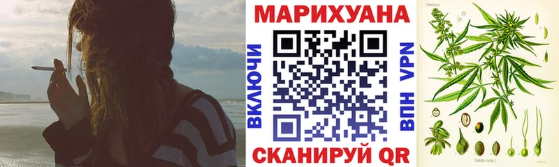 Конопля SATIVA & INDICA  как найти наркотики  Трубчевск 